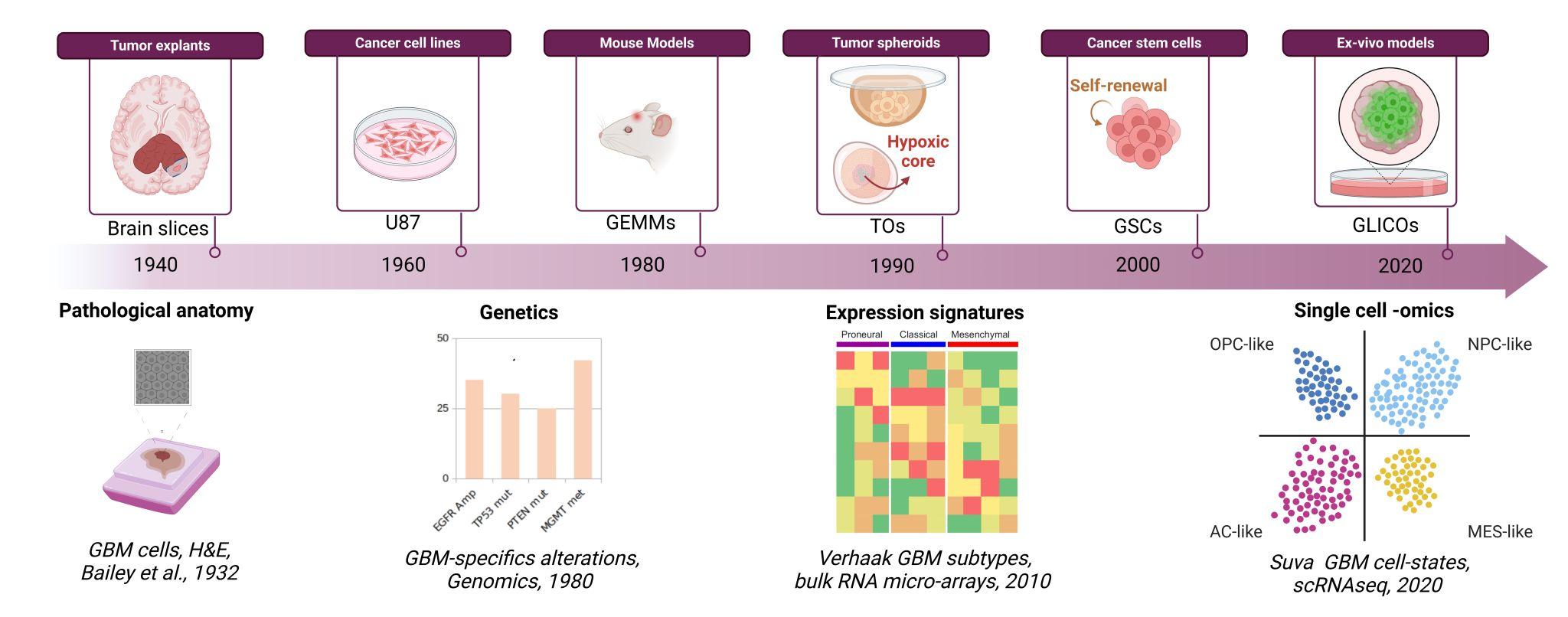 ModelingGBMTimeline